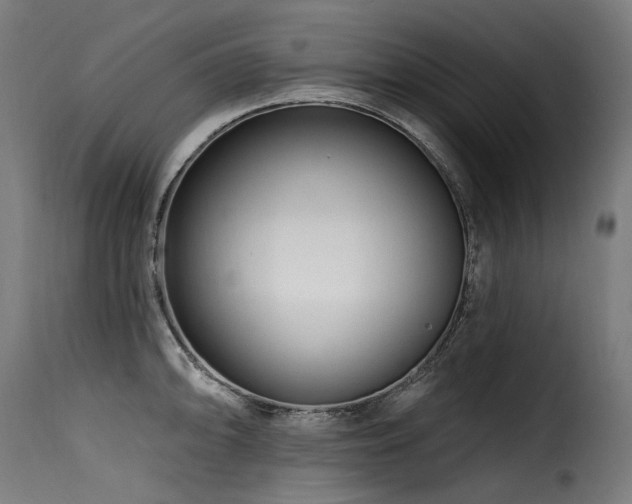 X0000116161094200911231359
