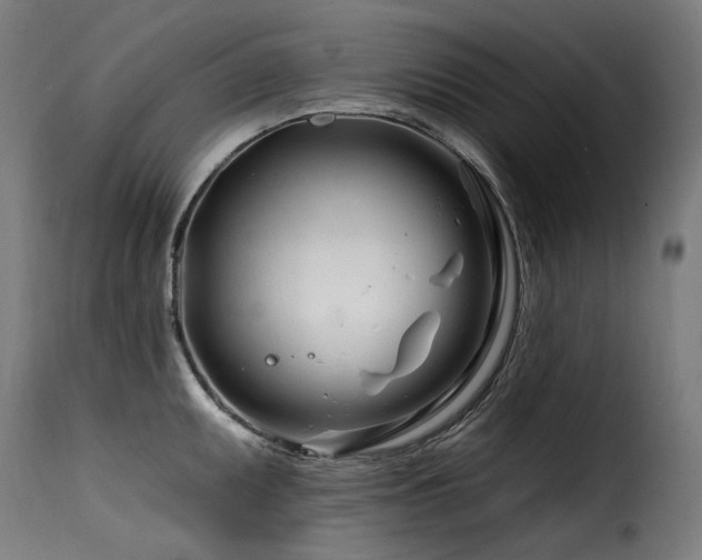 X0000116161095200911231359