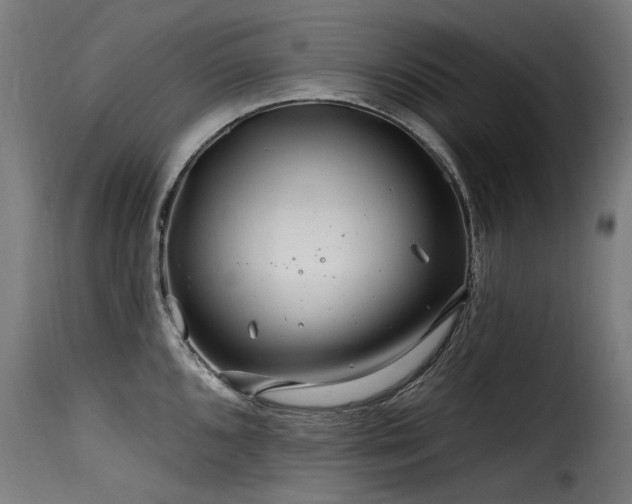 X0000116161096200911231359