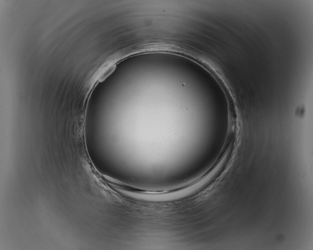 X0000116161097200911231359