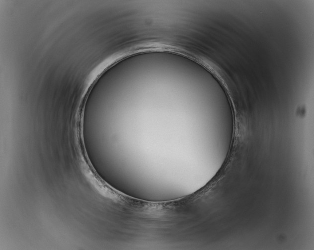X0000116161098200911231359