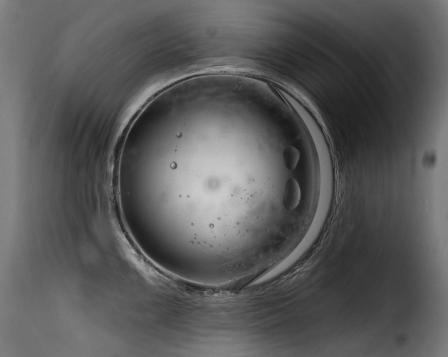 X0000116161099200911231359
