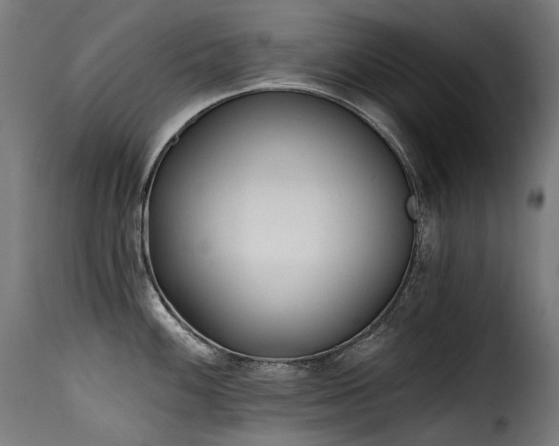 X0000116161100200911231359