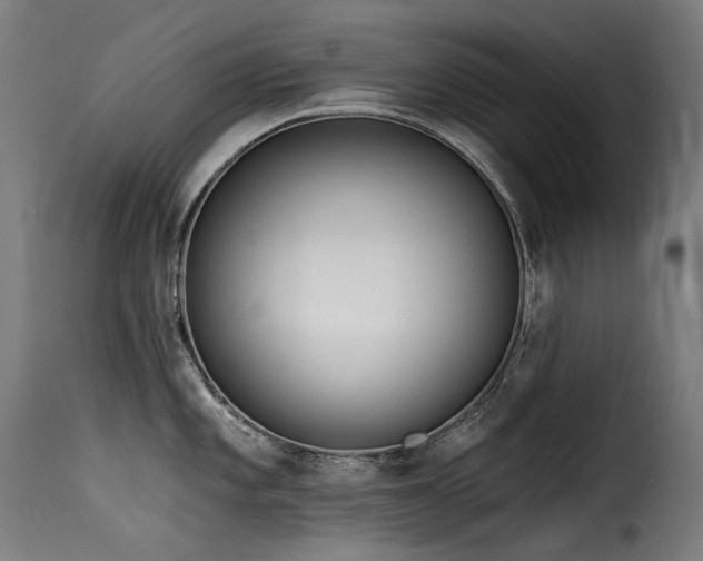 X0000116161101200911231359