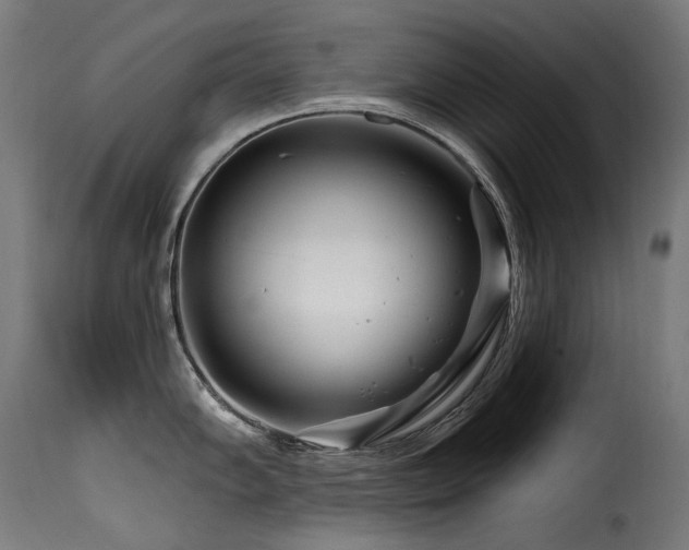X0000116161102200911231359
