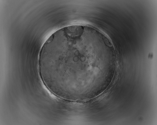 X0000116161103200911231359