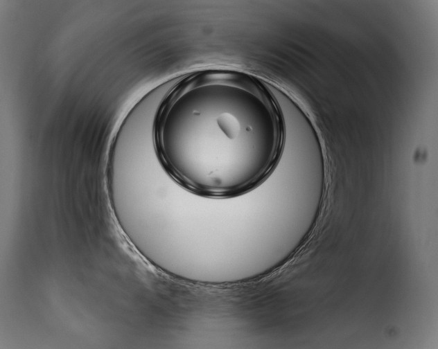 X0000116161104200911231359