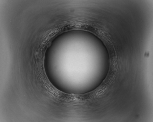 X0000116161105200911231358