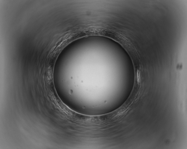 X0000116161107200911231358