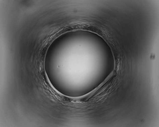X0000116161109200911231358