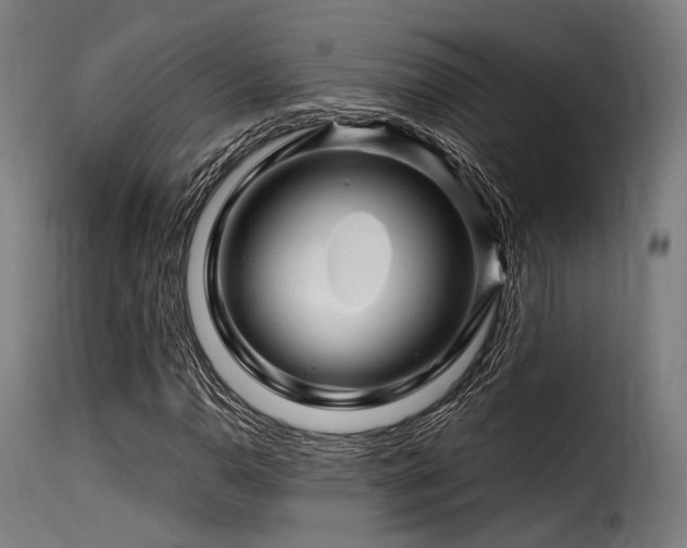 X0000116161110200911231358
