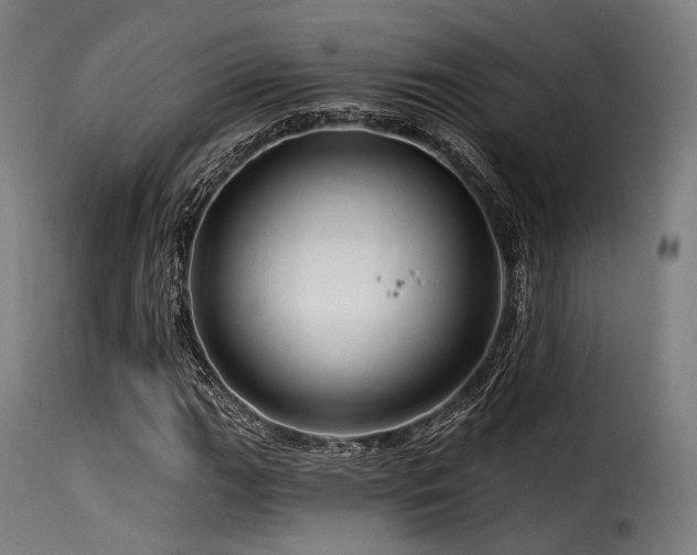 X0000116161111200911231358