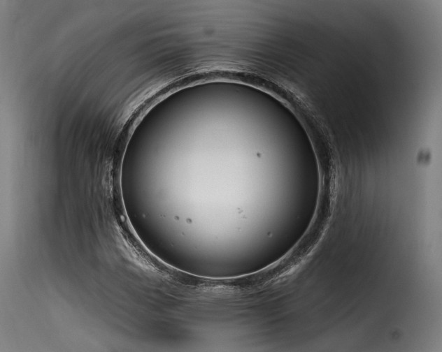 X0000116161113200911231358