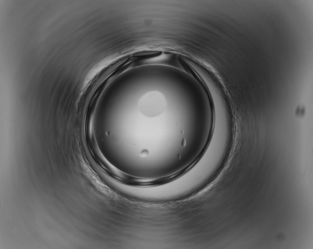 X0000116161114200911231358