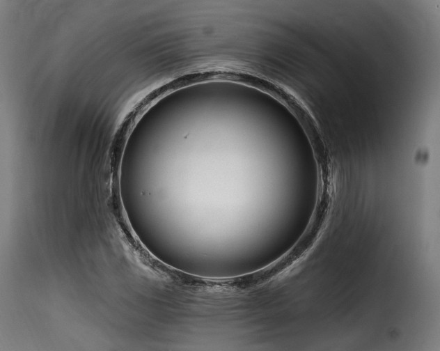 X0000116161117200911231358