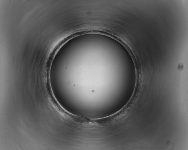 X0000116161119200911231358