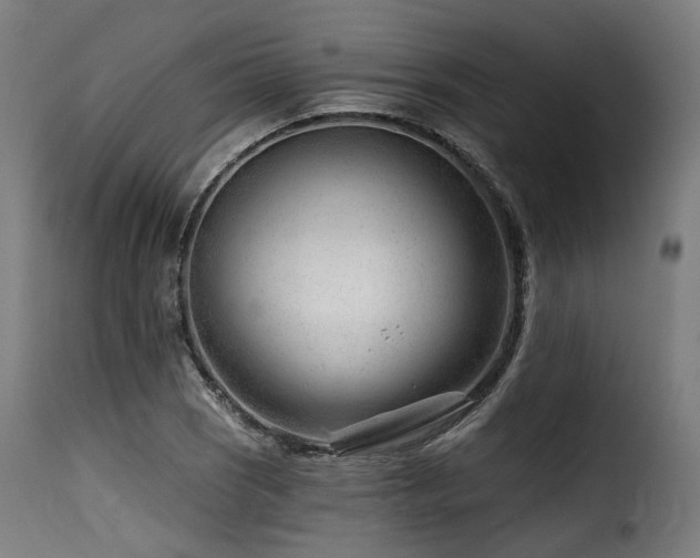 X0000116161121200911231358