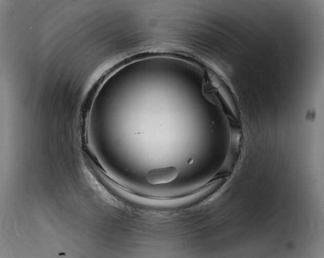 X0000116161122200911231358