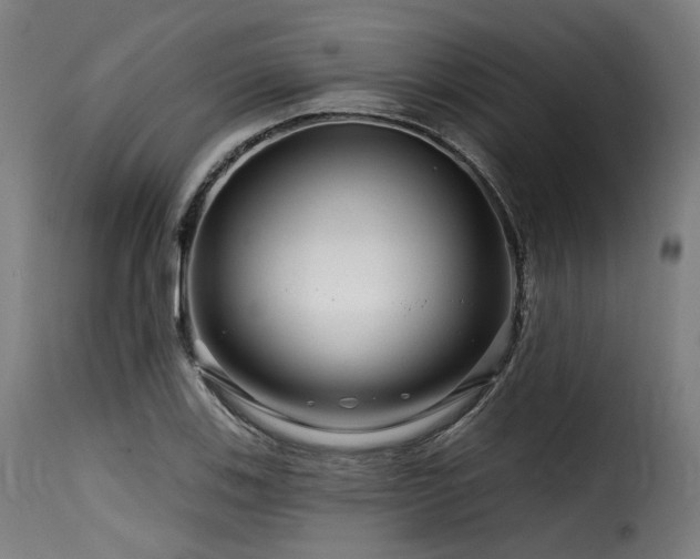 X0000116161123200911231358