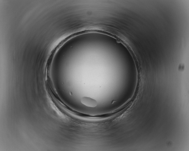 X0000116161127200911231358