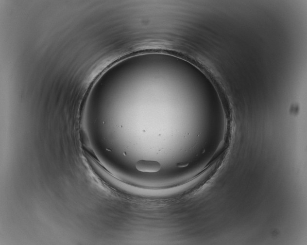 X0000116161129200911231358