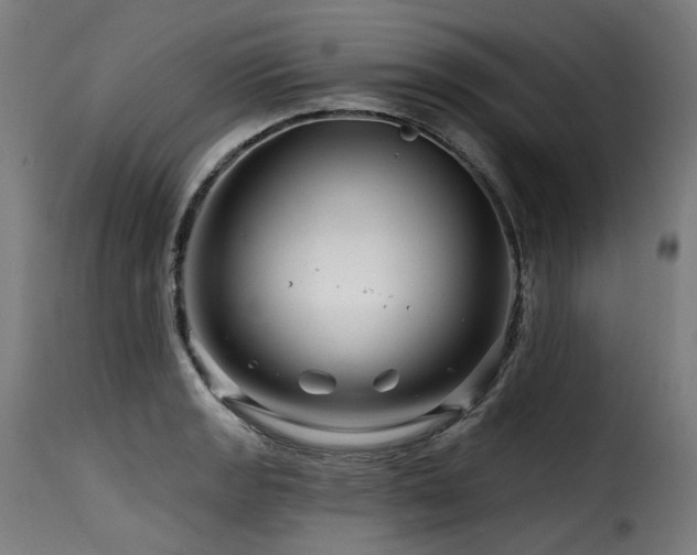 X0000116161133200911231358