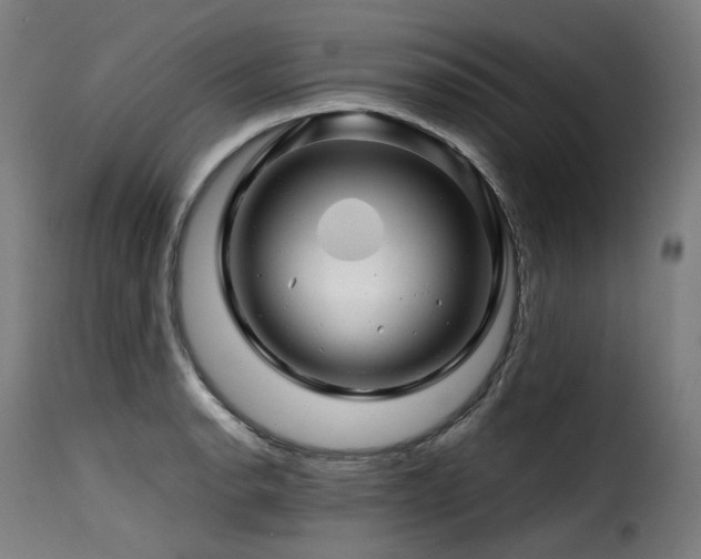 X0000116161134200911231358