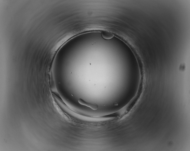 X0000116161137200911231358