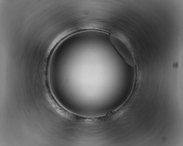 X0000116161138200911231358