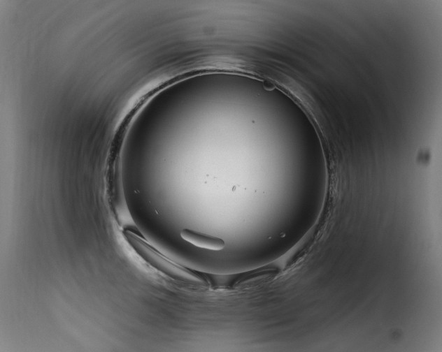 X0000116161139200911231359