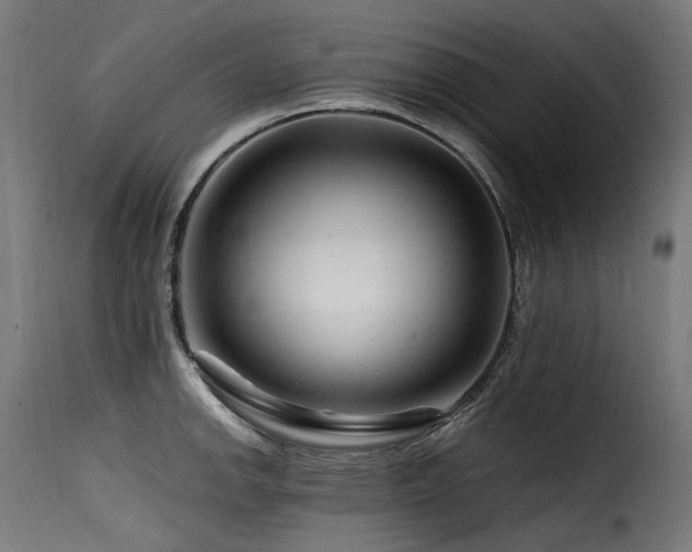 X0000116161142200911231359