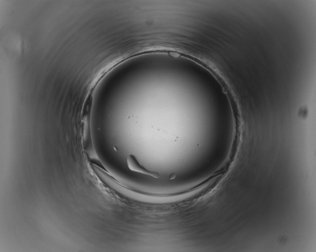 X0000116161145200911231359