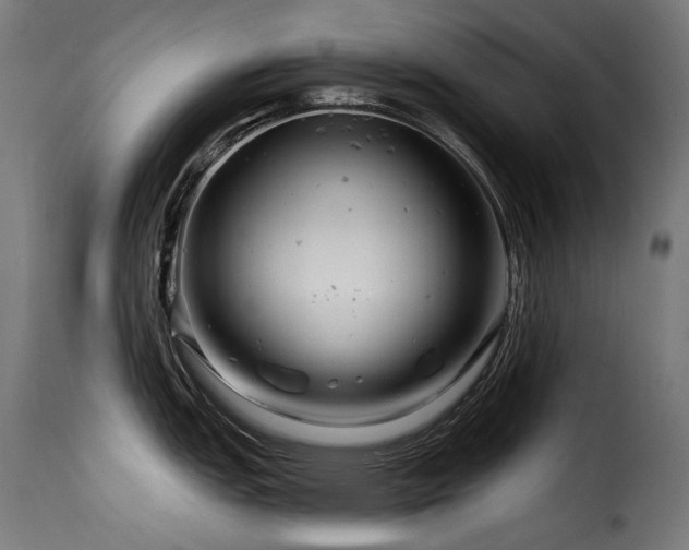 X0000116161151200911231359