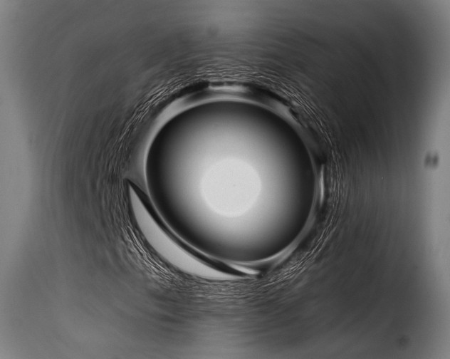 X0000116161153200911231358