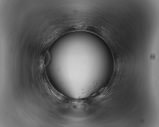 X0000116161154200911231358