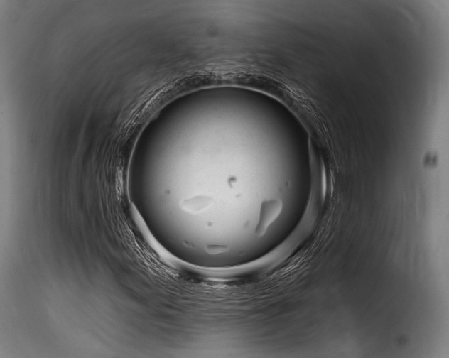 X0000116161155200911231358