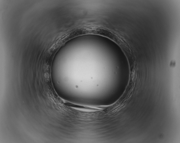 X0000116161156200911231358