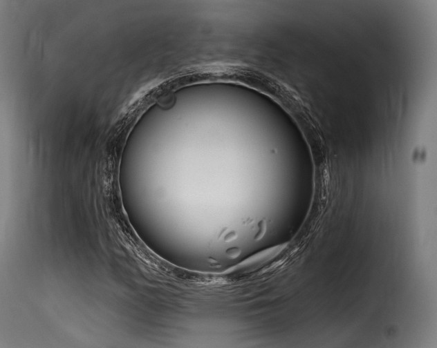 X0000116161158200911231358