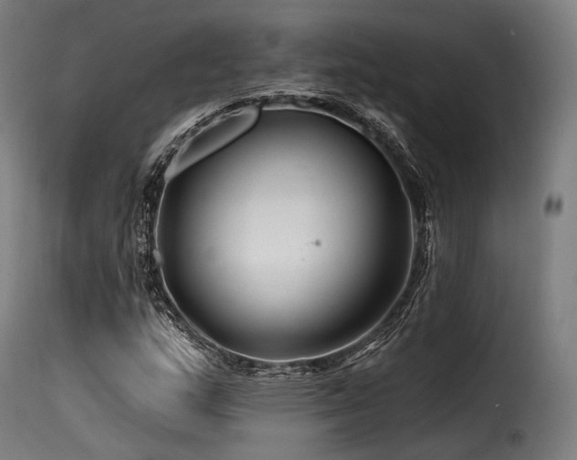 X0000116161159200911231358