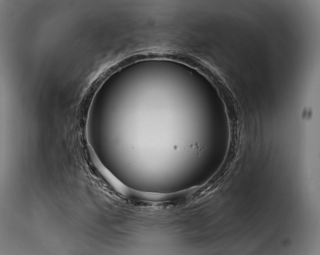 X0000116161160200911231358