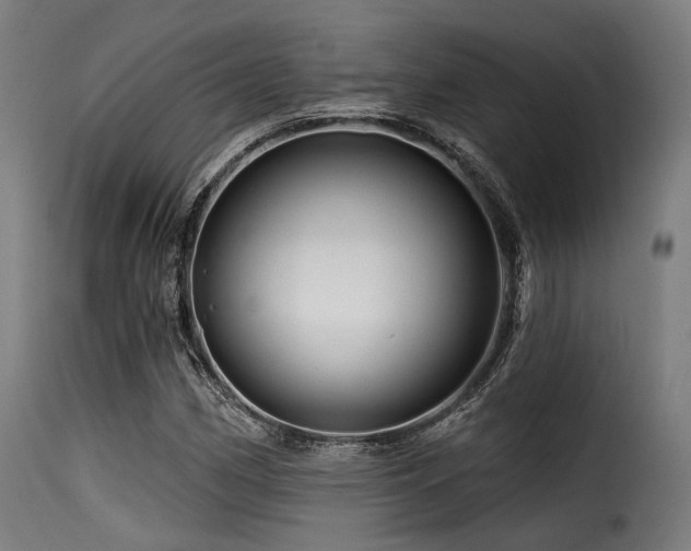 X0000116161162200911231358