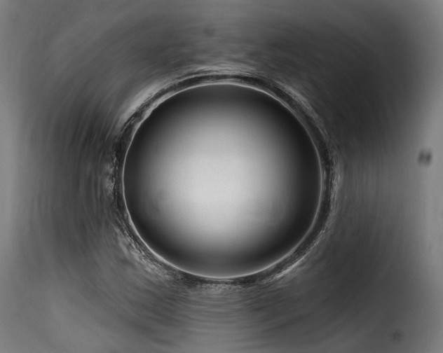 X0000116161163200911231358