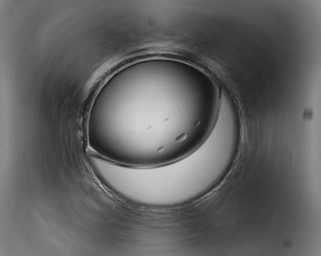 X0000116161164200911231358