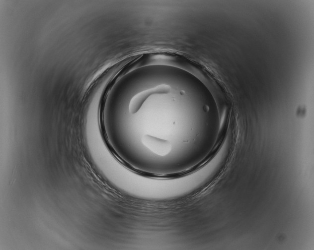 X0000116161165200911231358