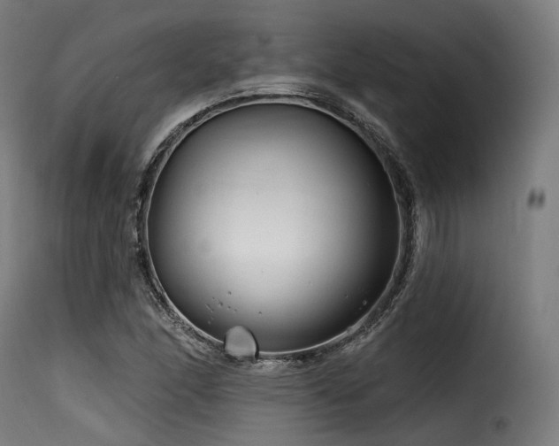 X0000116161166200911231358