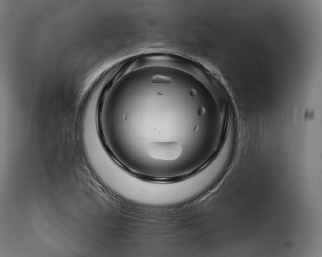 X0000116161167200911231358