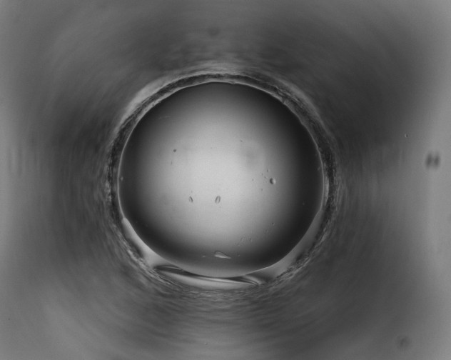 X0000116161168200911231358