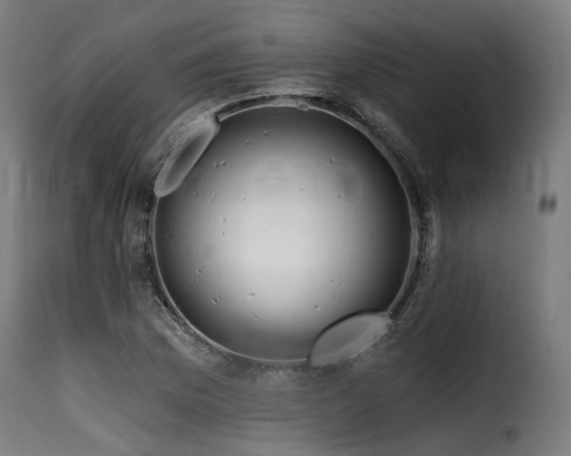 X0000116161169200911231358