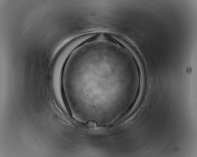X0000116161171200911231358