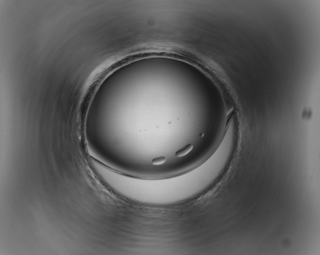 X0000116161172200911231358